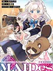 七七影院免费播放电视剧大全 夏日回声 海报