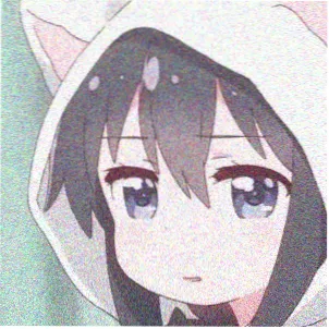 用户 追剧的猫 头像